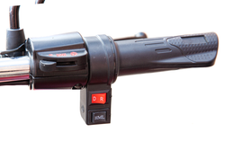 Электротрицикл RuTrike Антей Pro 1500 (1200Вт, 60B)