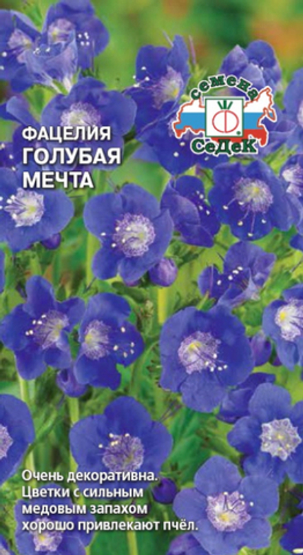 Фацелия Голубая мечта