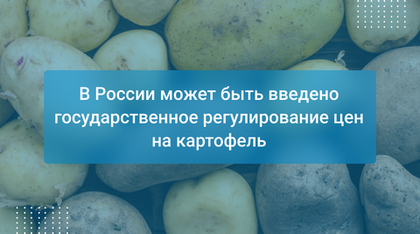 В России может быть введено государственное регулирование цен на картофель