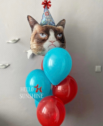 Набор шаров «Недовольный кот»