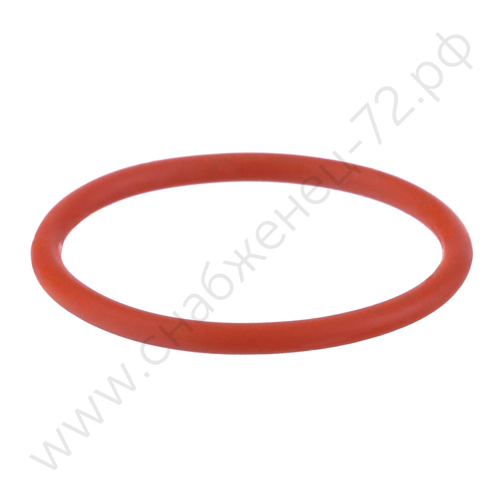 Кольцо уплотнительное IPT 100 NKS0002