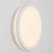 Светильник накладной Citilux LUNS CL711010V