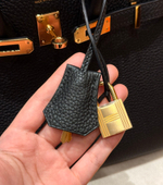 Hermes Birkin 25