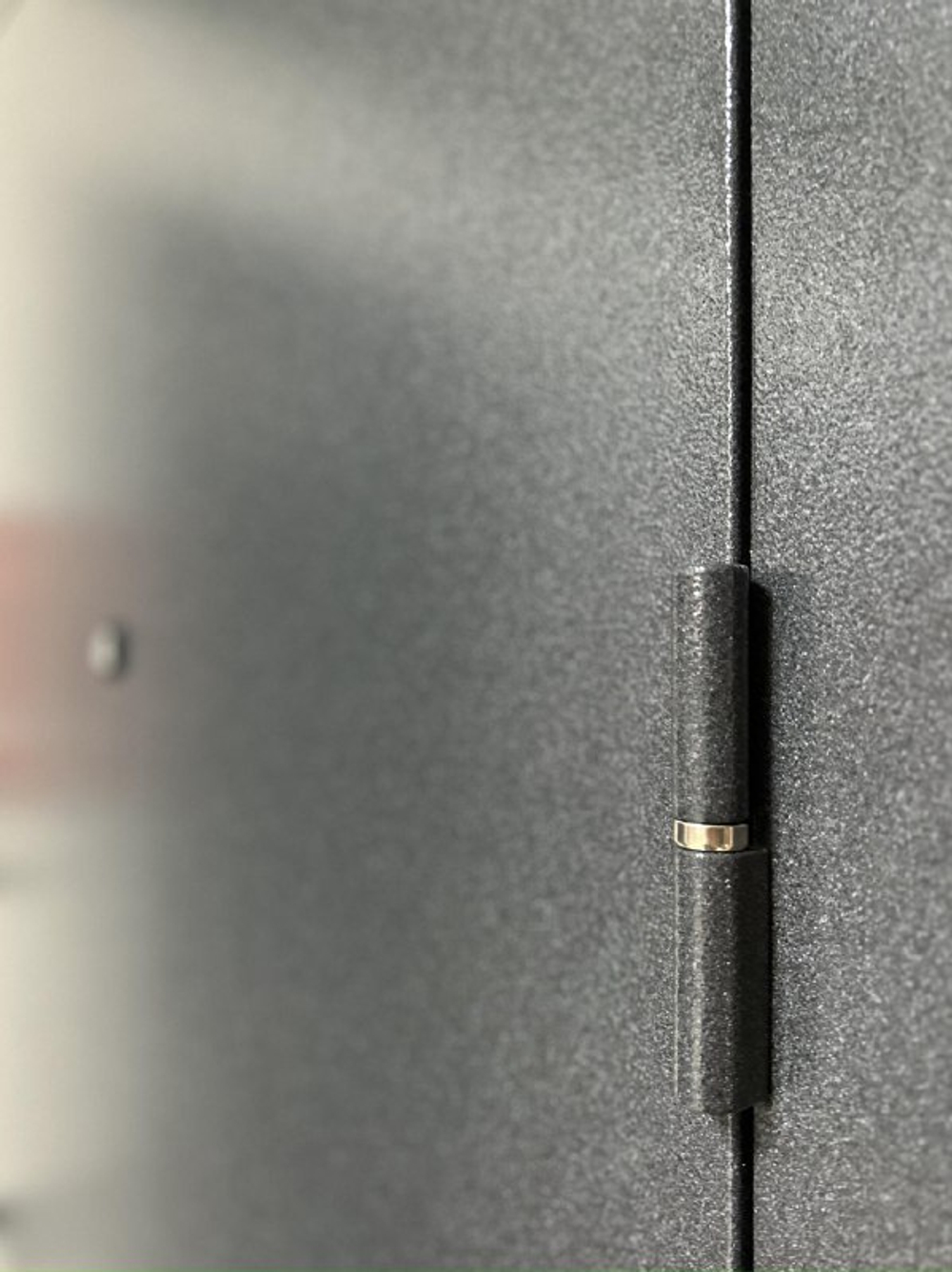 Дверь входная Вена