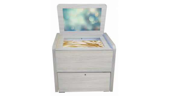 Сундучок психолога-дефектолога "Антошка" ДОУ