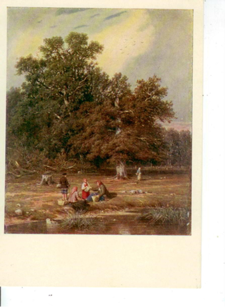 Почтовая открытка СССР - За грибами - И.И. Шишкин (1832 - 1898)