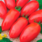 Эрколь F1 семена томата процессингового (Syngenta / Сингента)