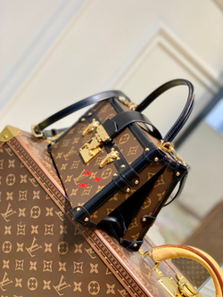 Louis Vuitton Petite Malle V Bag