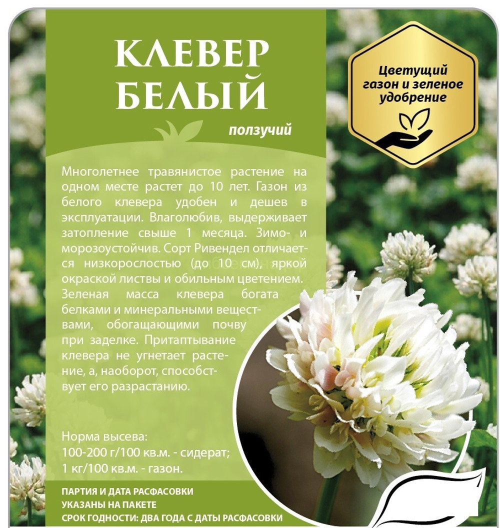 Клевер Белый 100 г