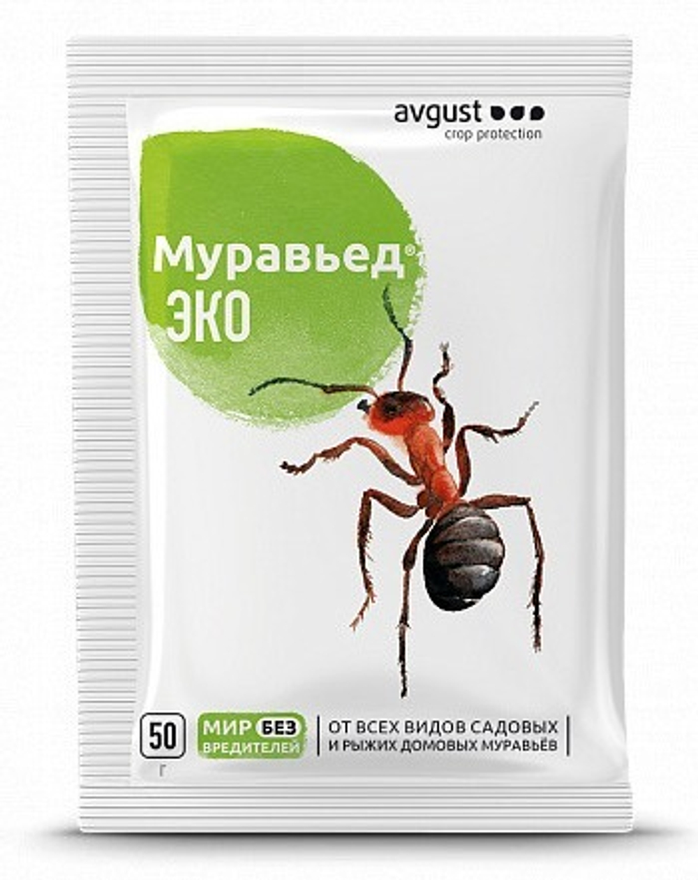 Муравьед Эко avgust