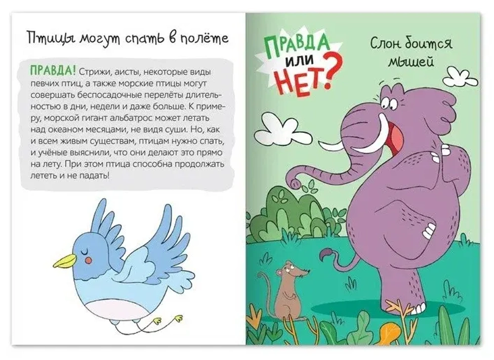 Обучающая книга «Правда или нет? Мир животных»