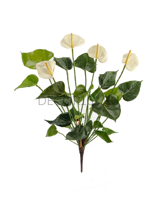 Антуриум куст де люкс кремовый в-45 см 4 цв 6/24 20.1108CR