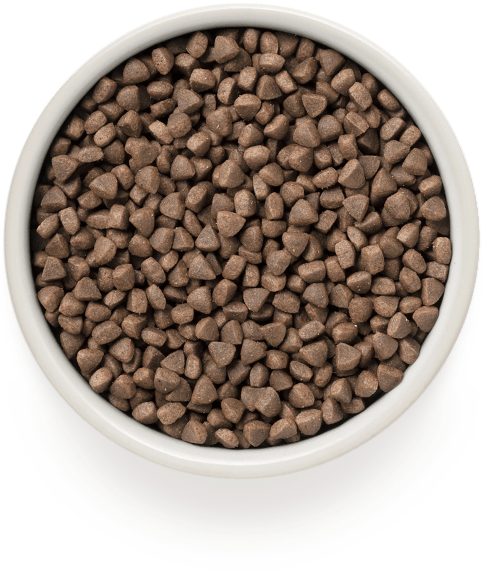 GRANDORF Кролик с индейкой Для стерилизованных кошек и кастрированных котов