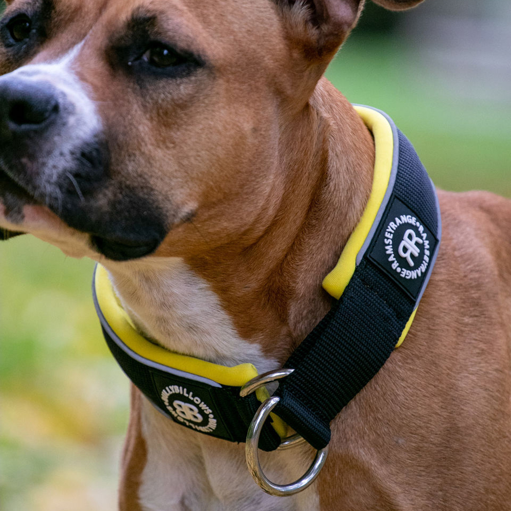 Ошейник Slip-On 5 см BullyBillows