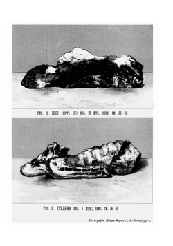 Скоромный и постный стол. Самая полная хозяйственная книга для приготовления 2800 блюд | Павловская О.