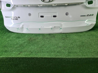 Крышка багажника Hyundai Santa Fe 4 TM (18-24)