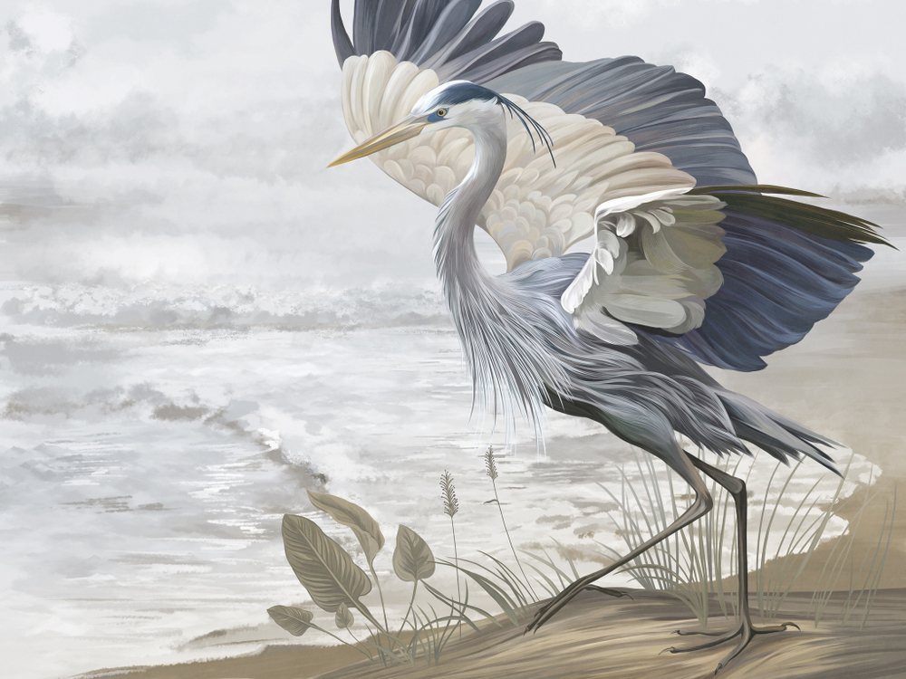 Коллекция FAUNA ZOOM