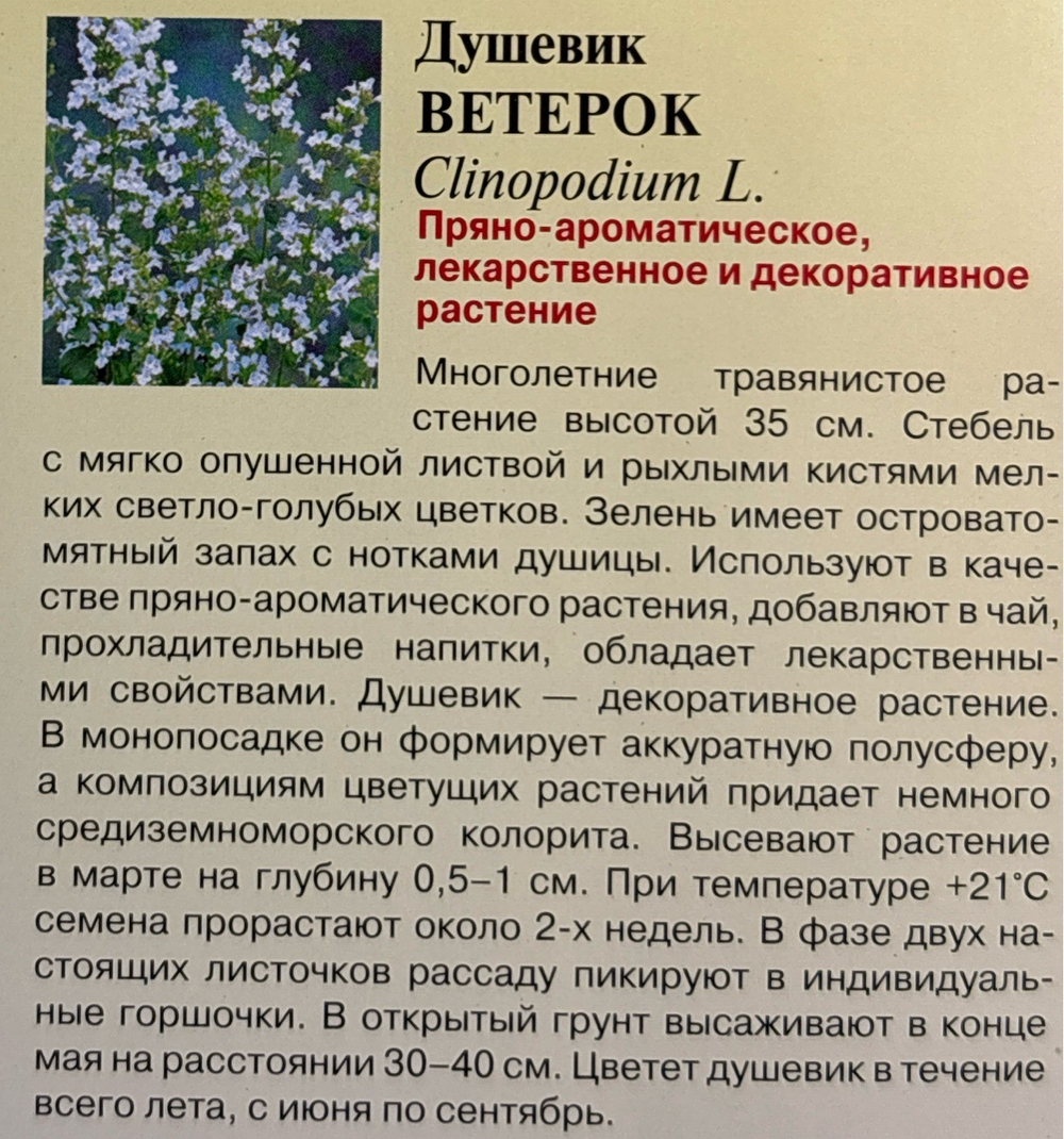 Душевик котовниковый Ветерок 0,01 г СМЦ-220