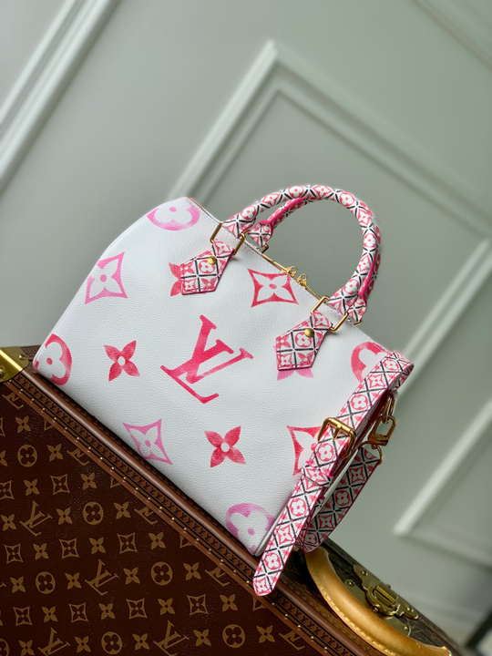 Louis Vuitton Speedy 25