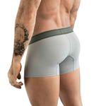 Мужские трусы хипсы серые Clever BERNA TRUNKS 178412