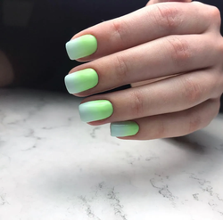 Monami Гель-лак 452,