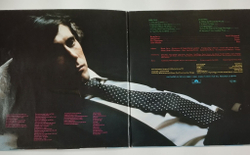 Винтажная виниловая пластинка LP Bryan Ferry Another Time, Another Place (Germany 1977)