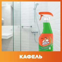 Mr Muscle для стекол с нашатырным спиртом 750 мл