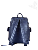 Рюкзак Louis Vuitton Christopher