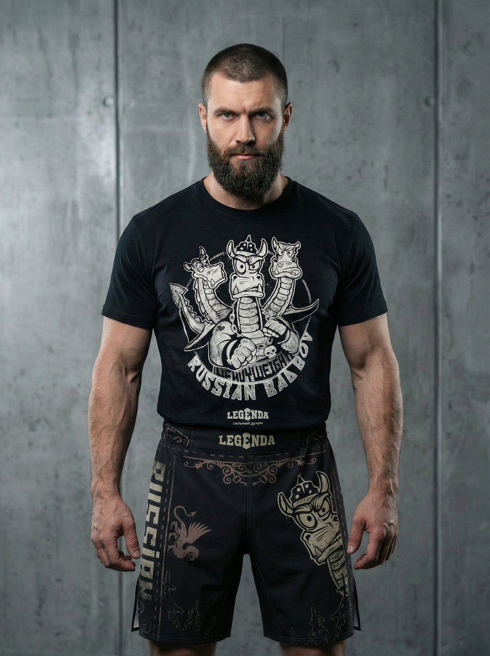 Комплект "Горыныч 2"