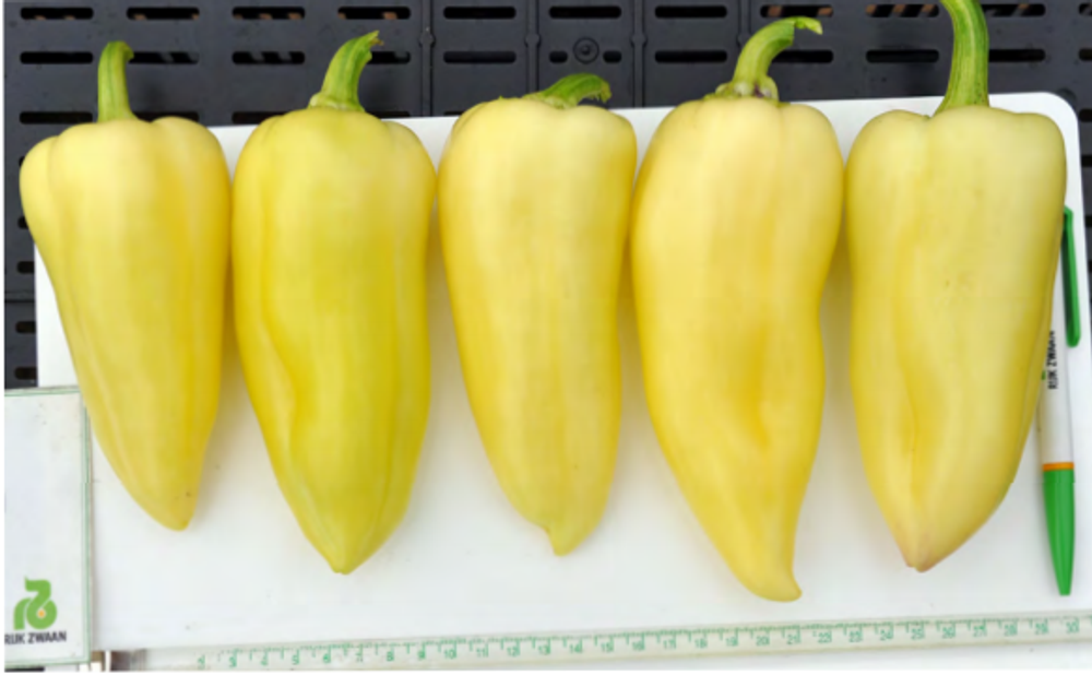 Перец Сноувайт F1 7шт ВитаГрин ЭКСТРА