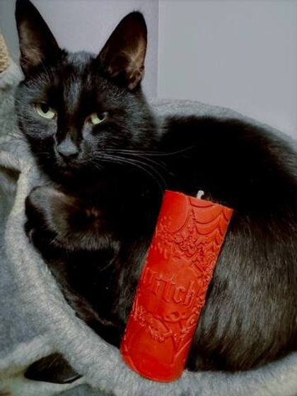 ВЕДЬМА — 45° Luna свечи для waxplay