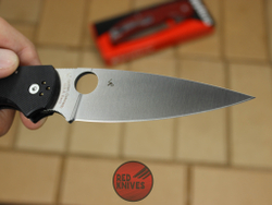 Нож Spyderco Native Chief - черный C244GP