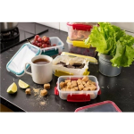 Контейнер для продуктов 0,5л «BUTTERFLY BRIGHT»