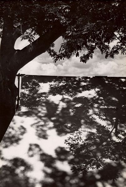 Почему «красиво» — это всегда спор