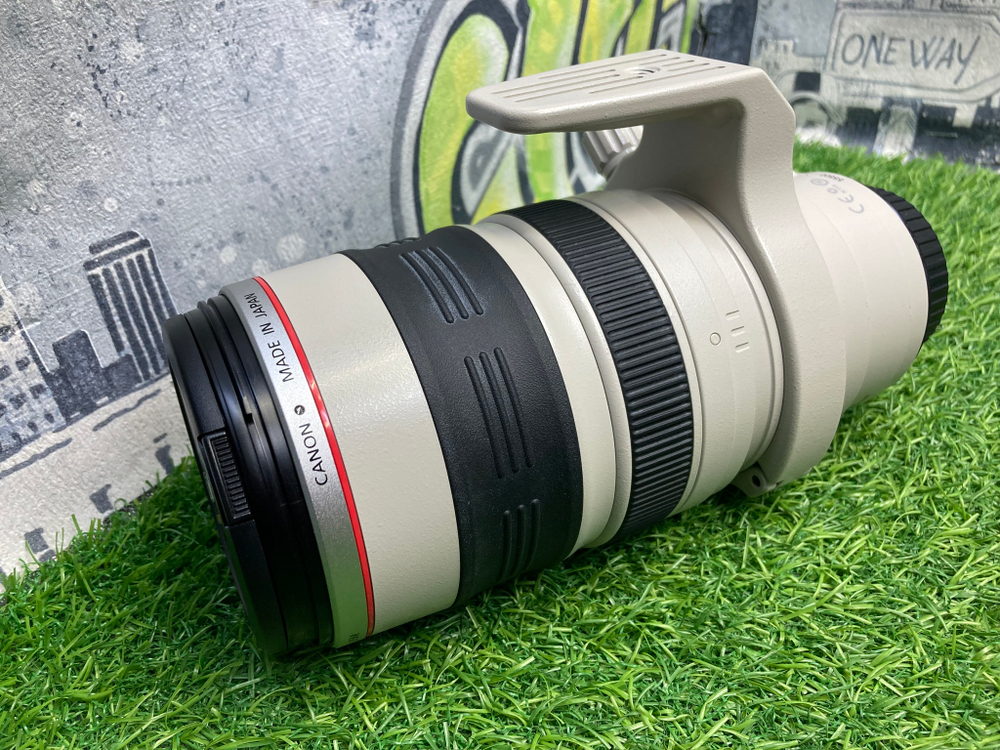 Canon EF 28-300mm 3.5-5.6L IS USM