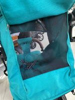 Коляска прогулочная Babalo 2023 Изумруд белая рама