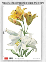 Трансфер для декупажа переводной рисунок для поверхностей 030