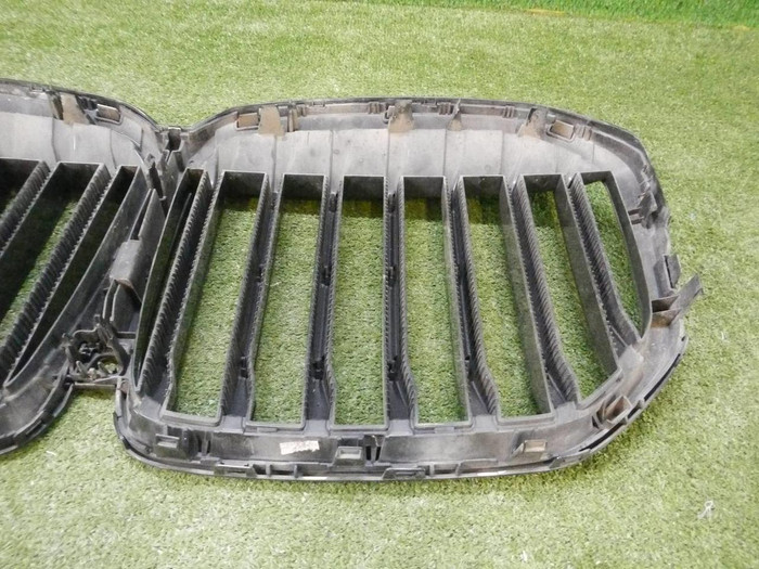 Решетка радиатора BMW X7 G07 (2019-2022)