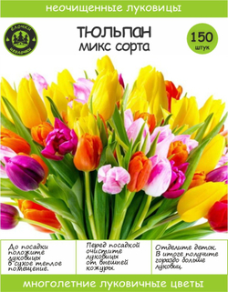 Тюльпан Луковицы неочищенные, Микс сортов, 150+шт