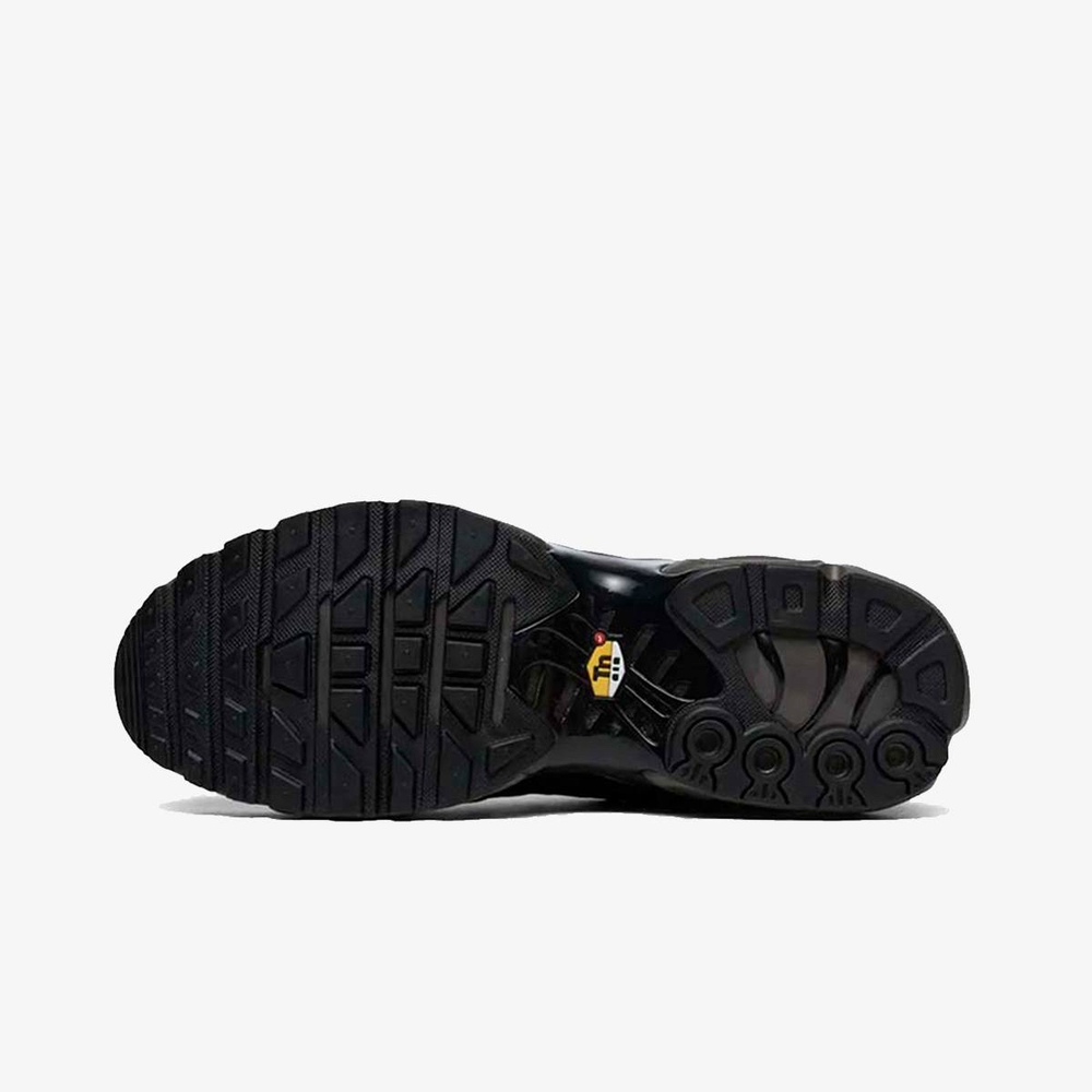 Nike Air Max Tn Plus Premium Paris