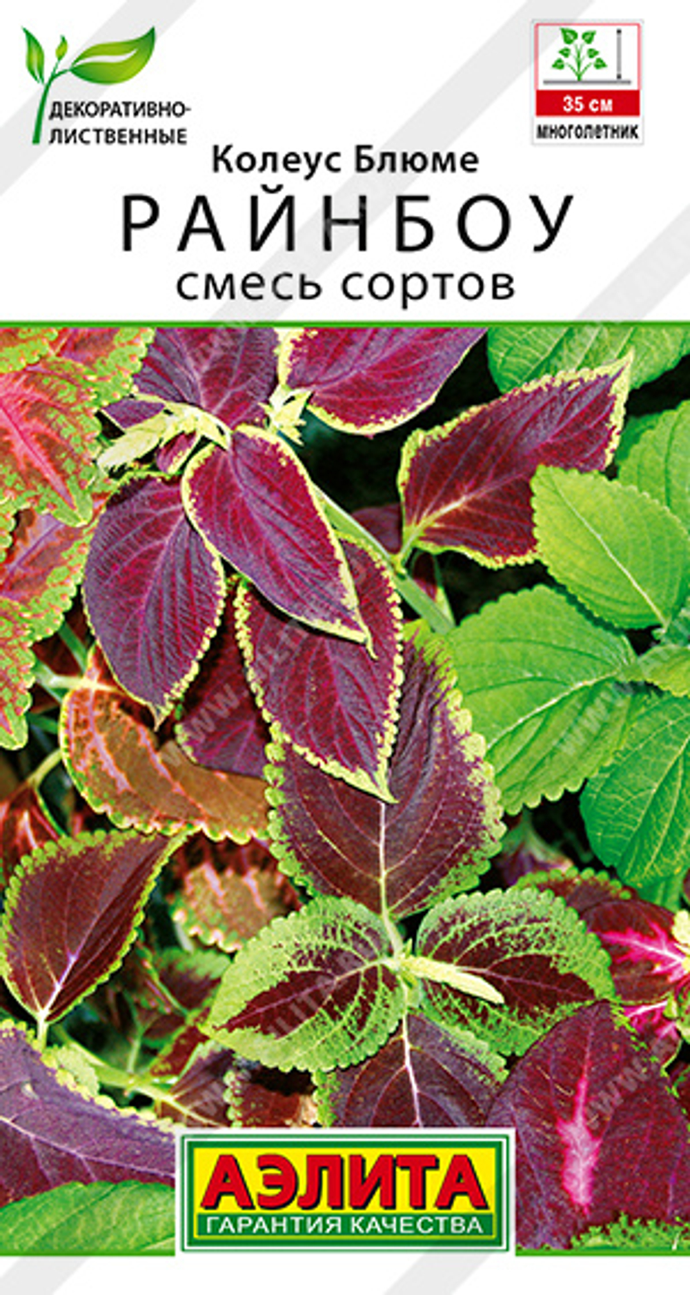 Колеус Райнбоу смесь блюме 0,05г Ц Аэлита