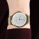 Наручные часы Bering 17039-334