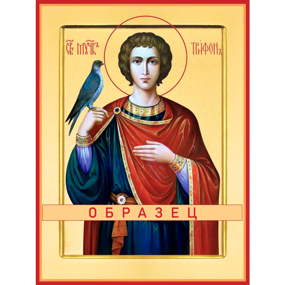 Мученик Трифон Мч-38 (мч/Т/2/1)