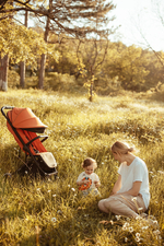 Детская прогулочная коляска Anex AIR-X Ax-01 terracotta