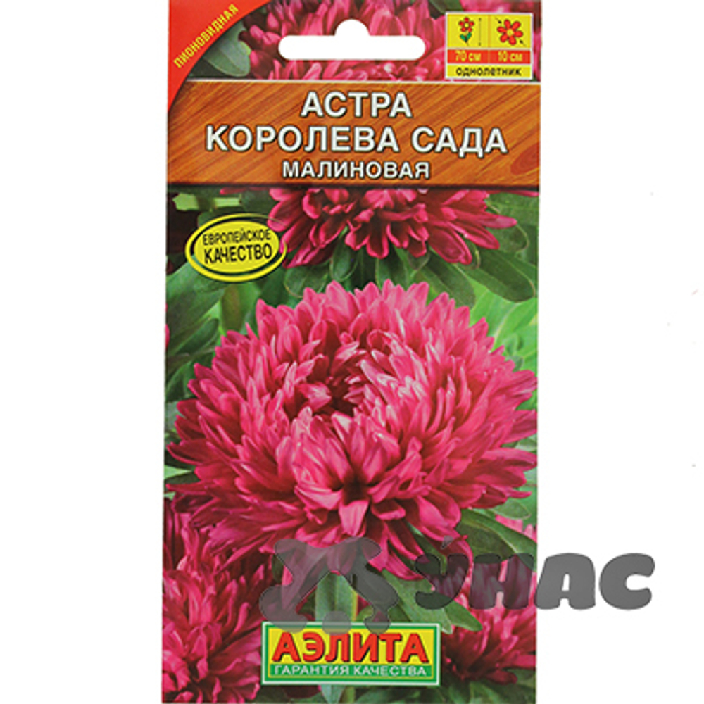 Астра Королева Сада малиновая 0.2г