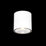 Уличный потолочный светильник Outdoor O310CL-L12W3K