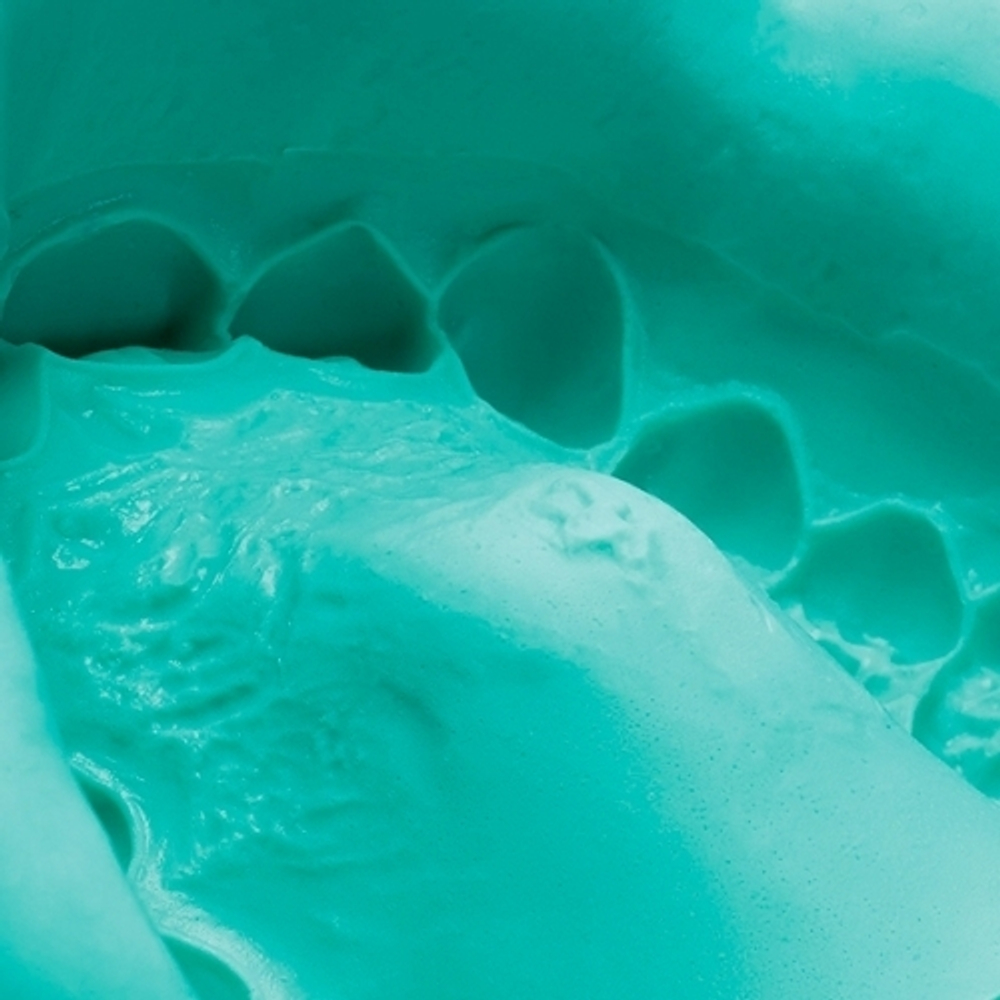 Hydrogum / Гидрогум. Альгинатная масса (альгинат). Слепочный материал стоматологический для снятия слепков. (500 г) Zhermack/Жермак