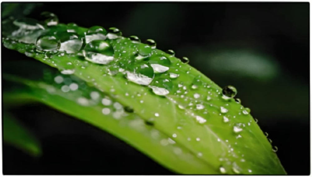 Панель LCD 55' Dahua DHI-LS550UEH-UG