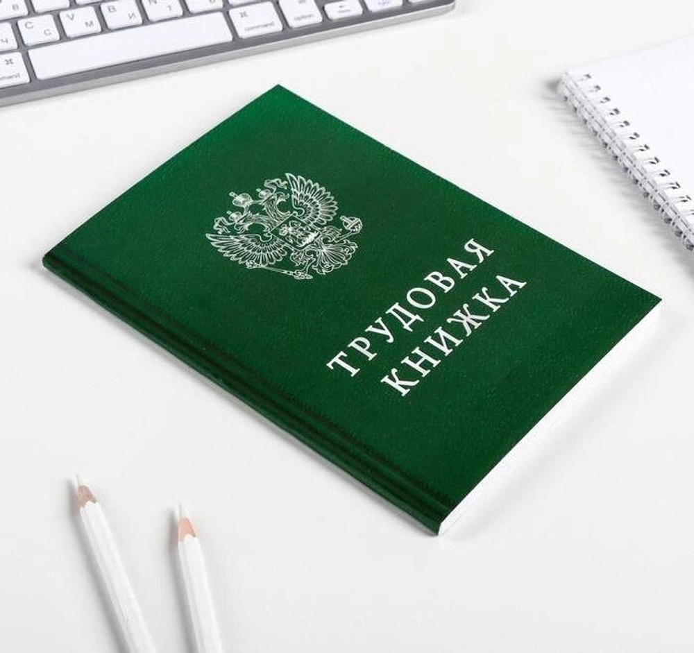 Ежедневник "Трудовая книжка", А5, 80 листов