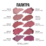 Stellary Hydrating Lipstick Cult Classic Увлажняющая губная помада с гиалуроновой кислотой 08 Розовый
